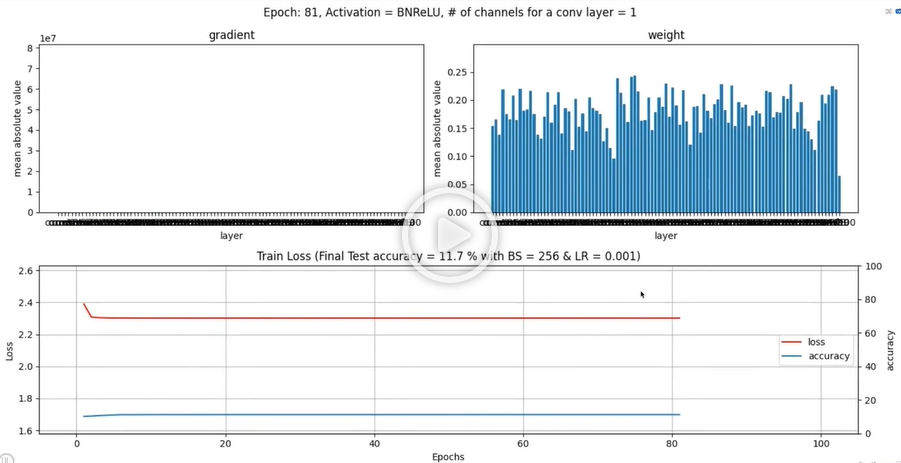 BN+ReLU w/ 100 layers